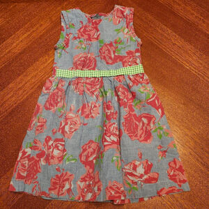 Girls Anna Bouche Casual Dress 3T Blue Red Floral A2